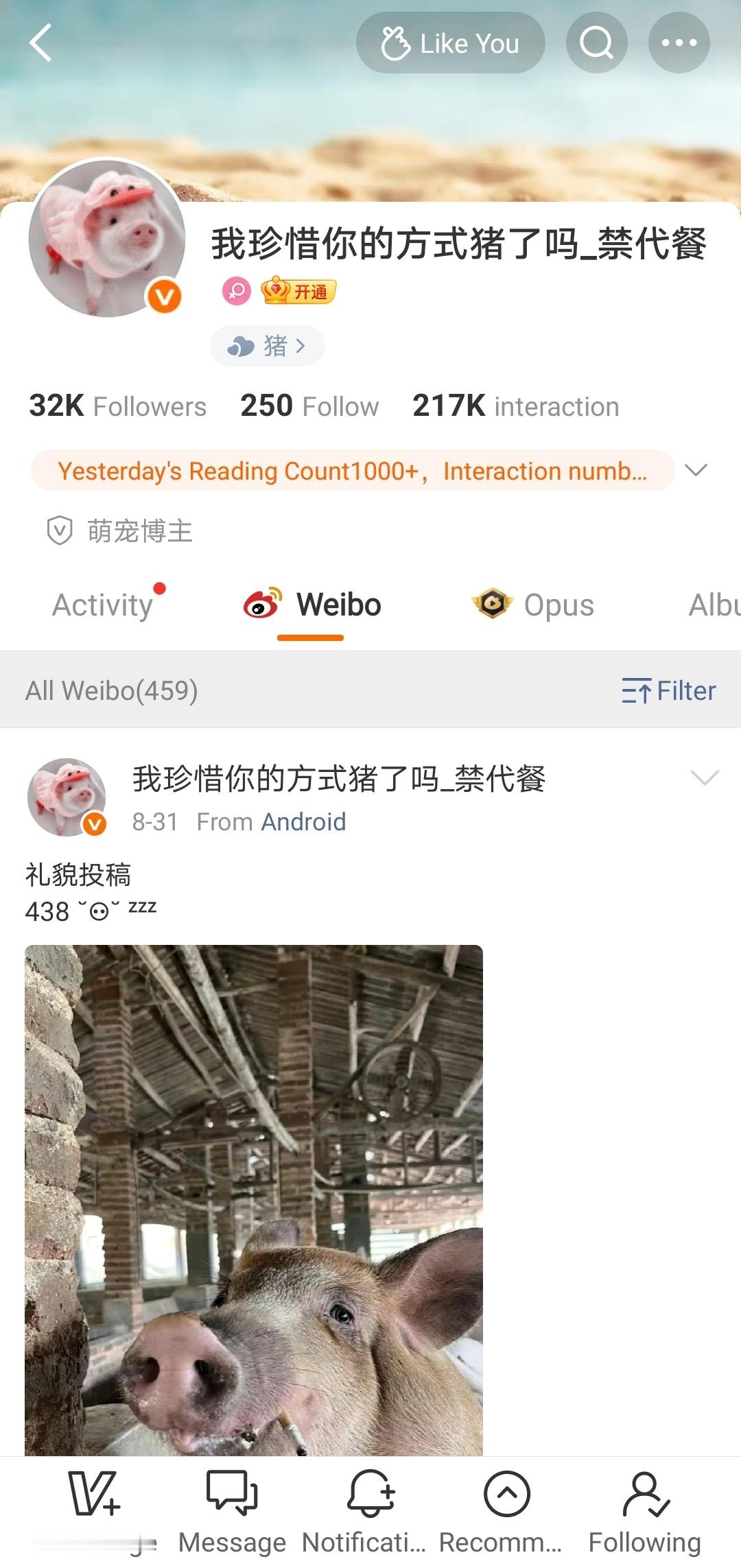 不更新啥意思我还要看猪 ​​​