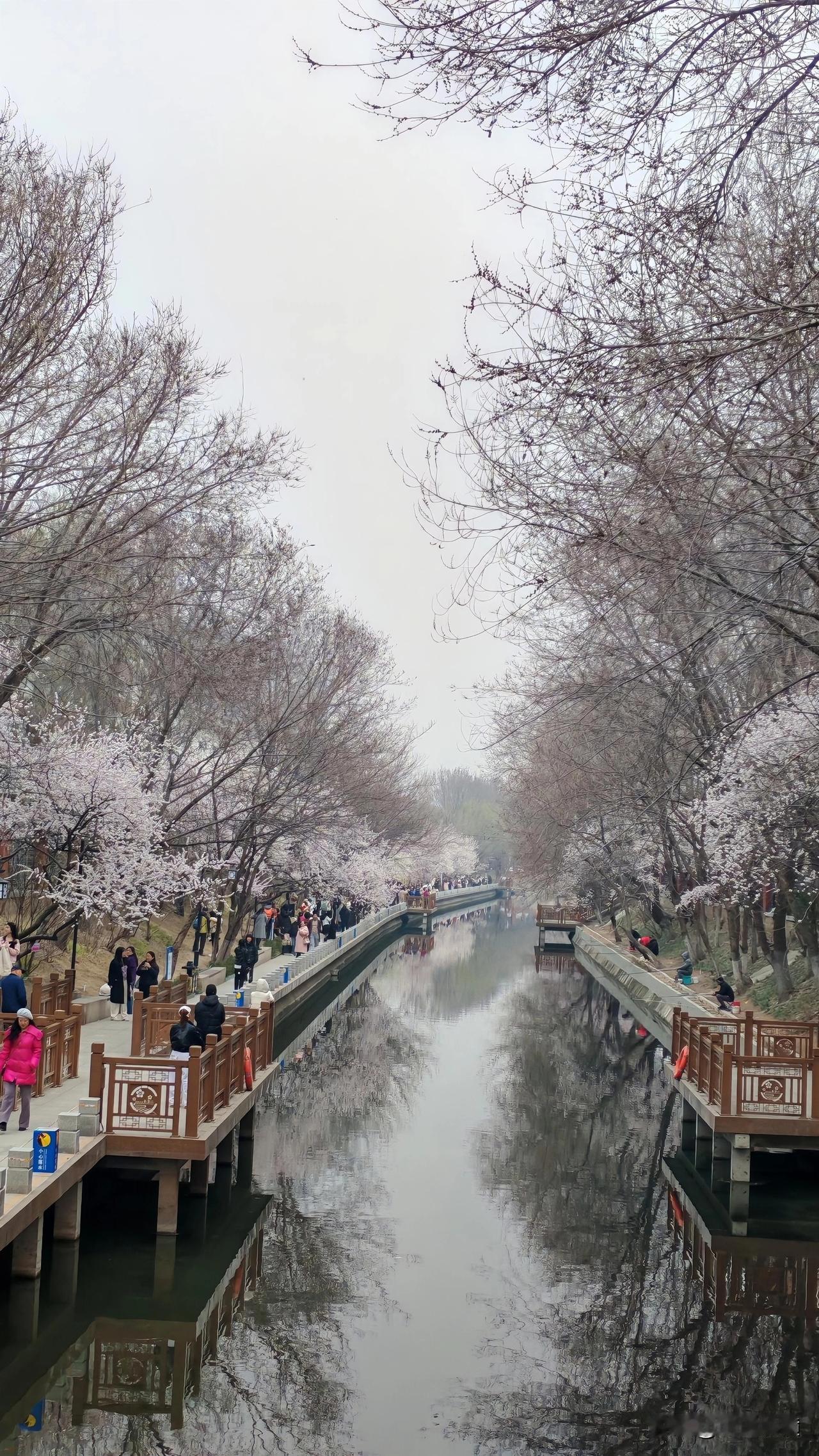 小区门前一条河，每年3月赴一场春日的约，在十里堡邂逅山海与温柔。每一朵盛开的山桃