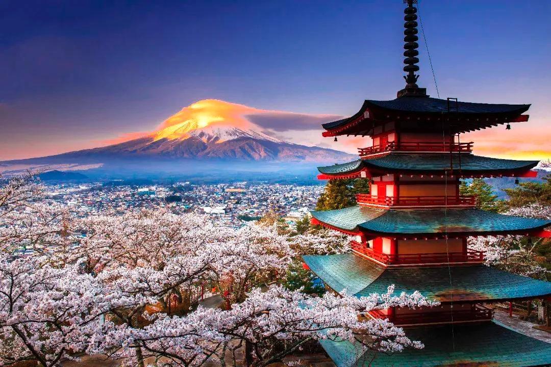 【樱花深深地嵌到了日本人的生命中和血液里】
对日本人来说，一年从樱花开始，终了随
