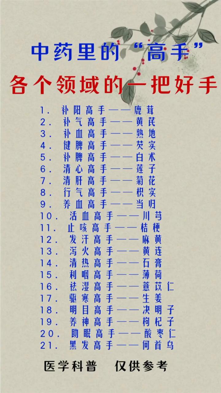 各个领域的一把好手。