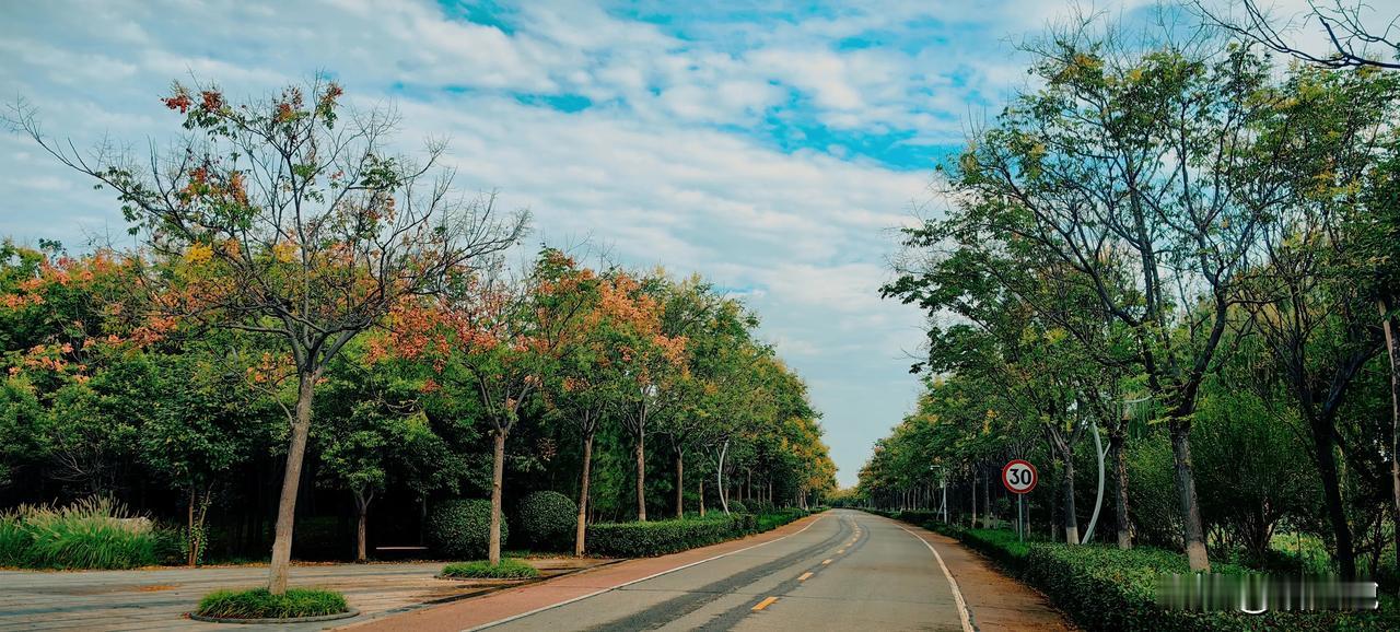 慢慢恢复跑量，争取秋季跑几场半马。