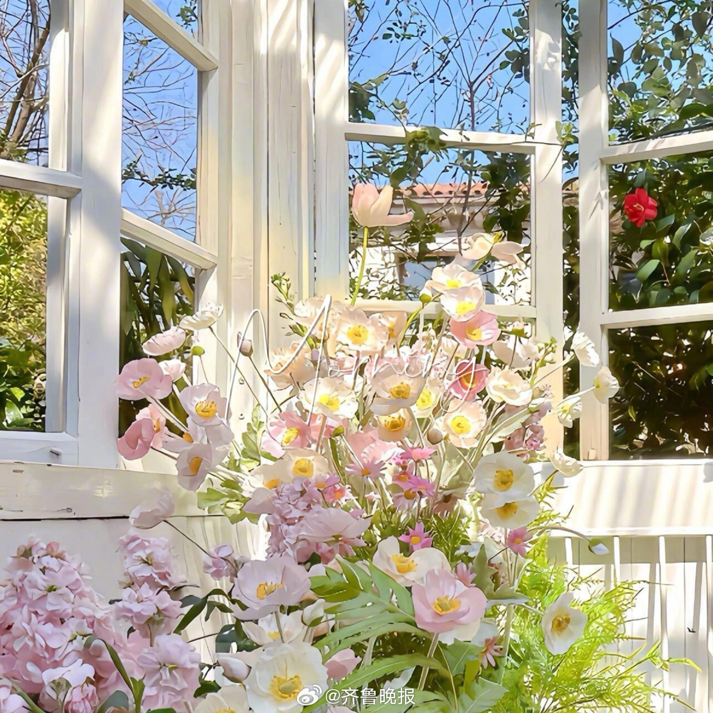 风遇花开人随春好#早安#