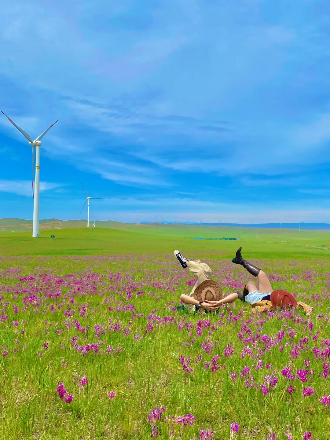 呼伦贝尔！劝你别太浪漫💕6.7实拍live图📸