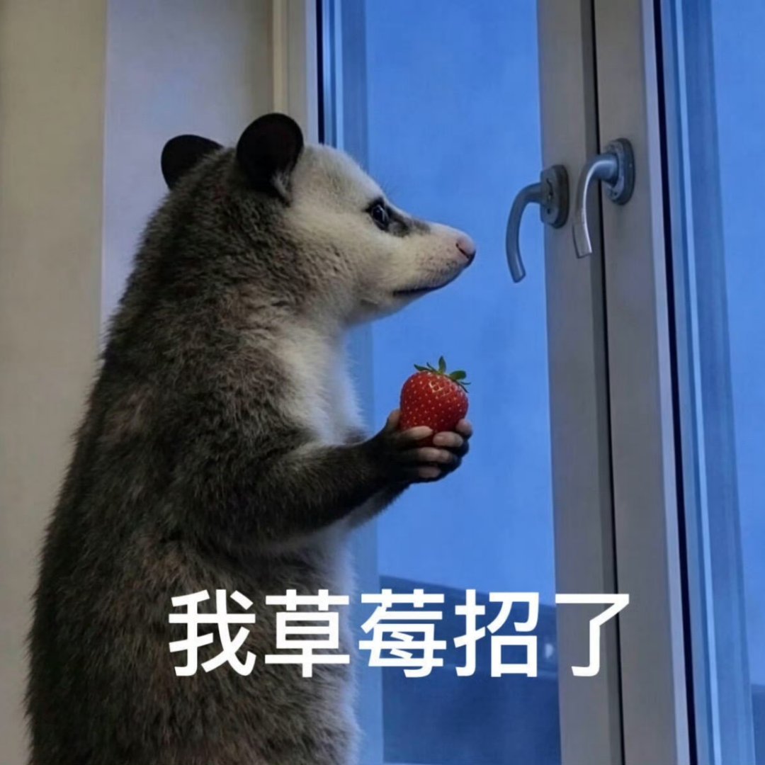 真的就很好奇两边唯粉咋那么爱来cp粉微博底下评论完全没带你们蒸煮大名，咋还能那么