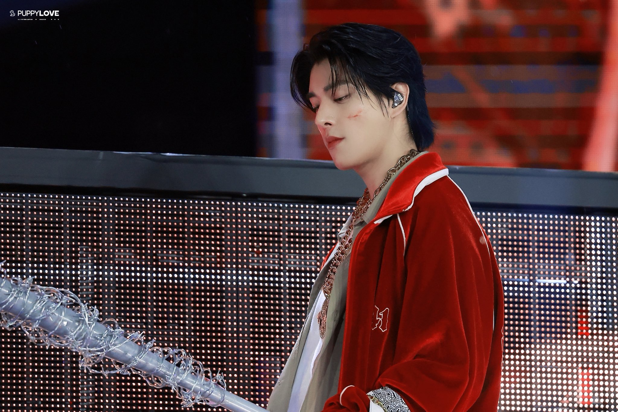 我哭了，我也想重新拾起我的专业了