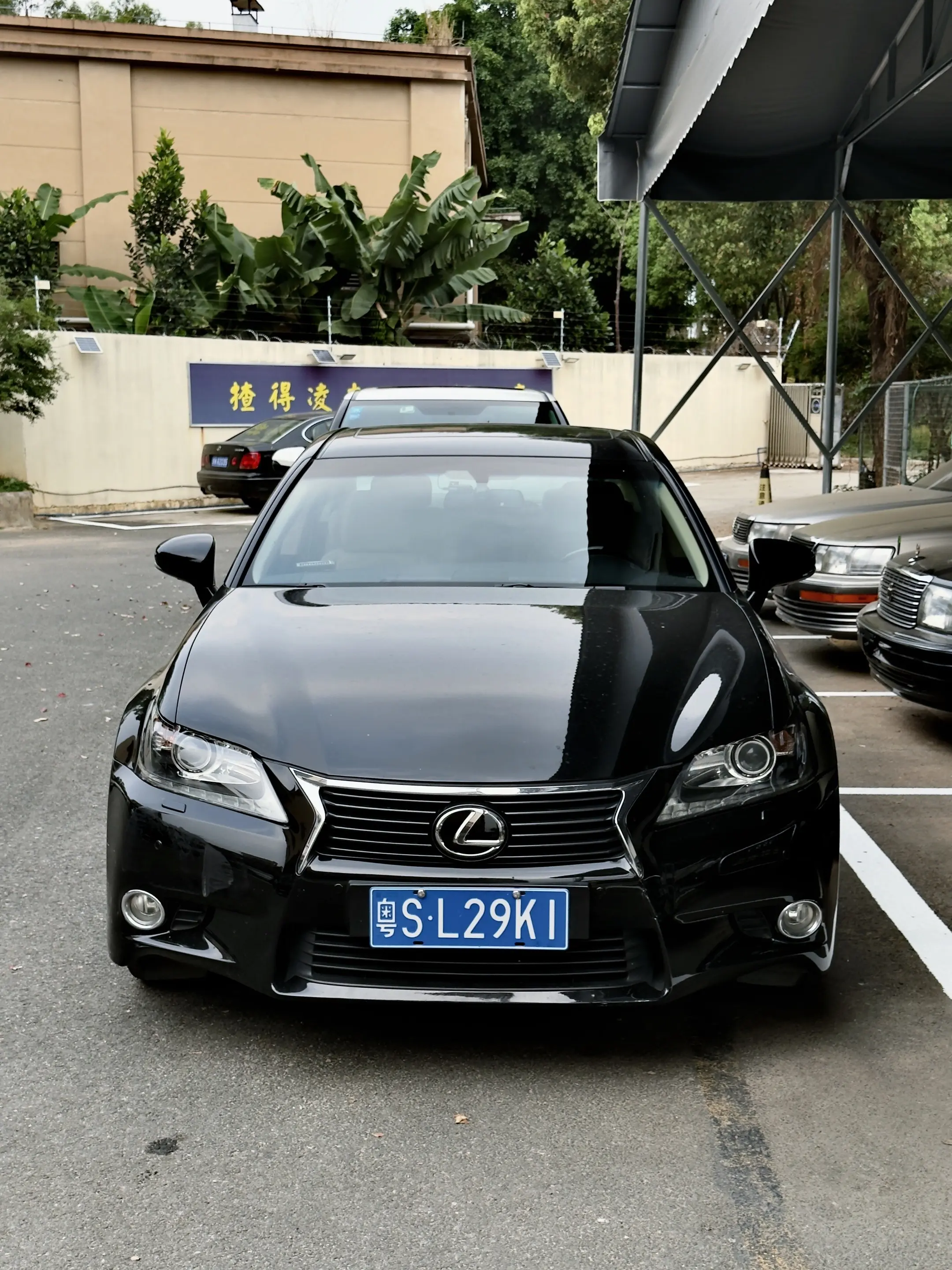 广东男人的归宿