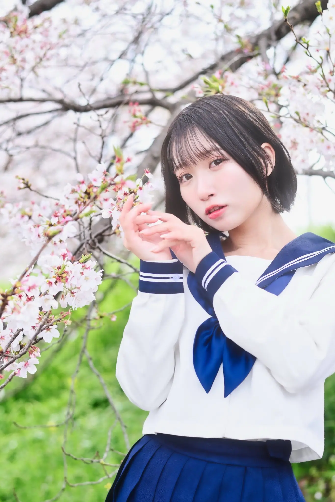 摄影约拍 日系写真 日系 摄影 日系樱花