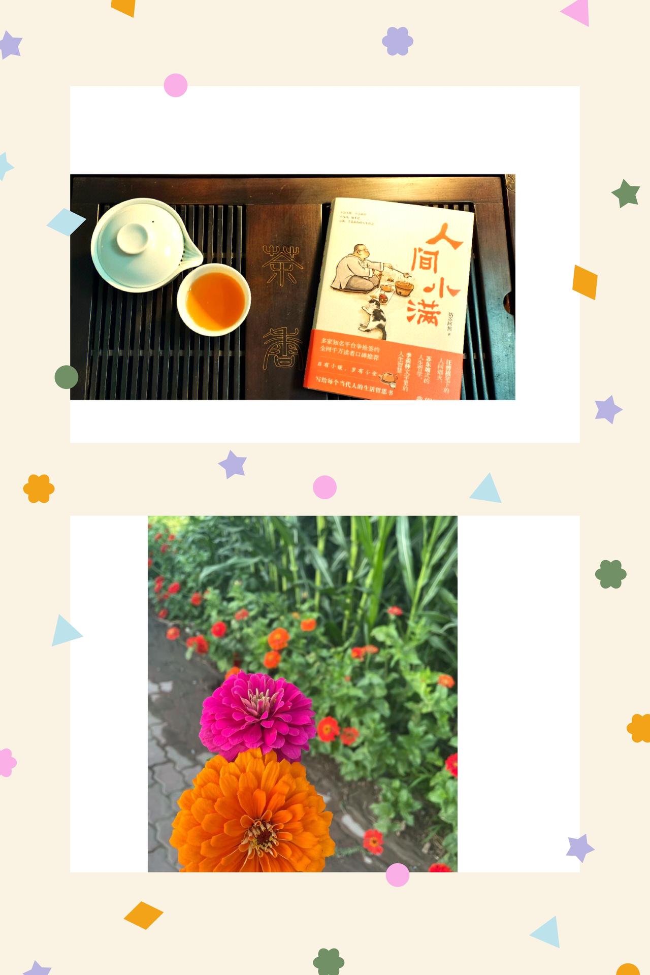 诗意藏日常，热爱暖余生
热爱从不是遥不可及的远方，而是藏在日常缝隙里的温柔诗意，