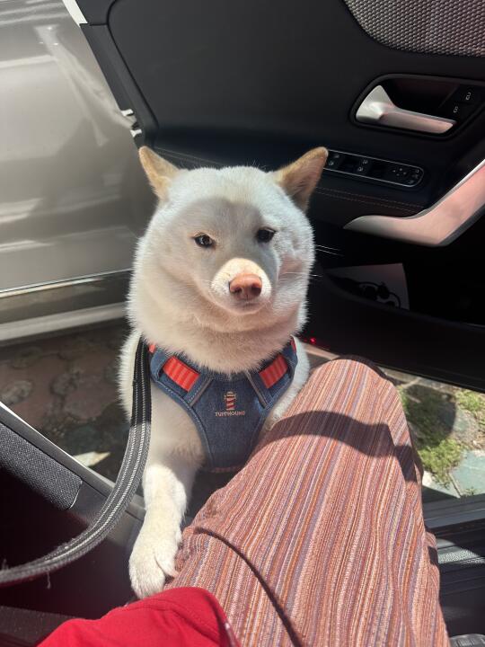 我不能一起去吗🥺🥺🥺