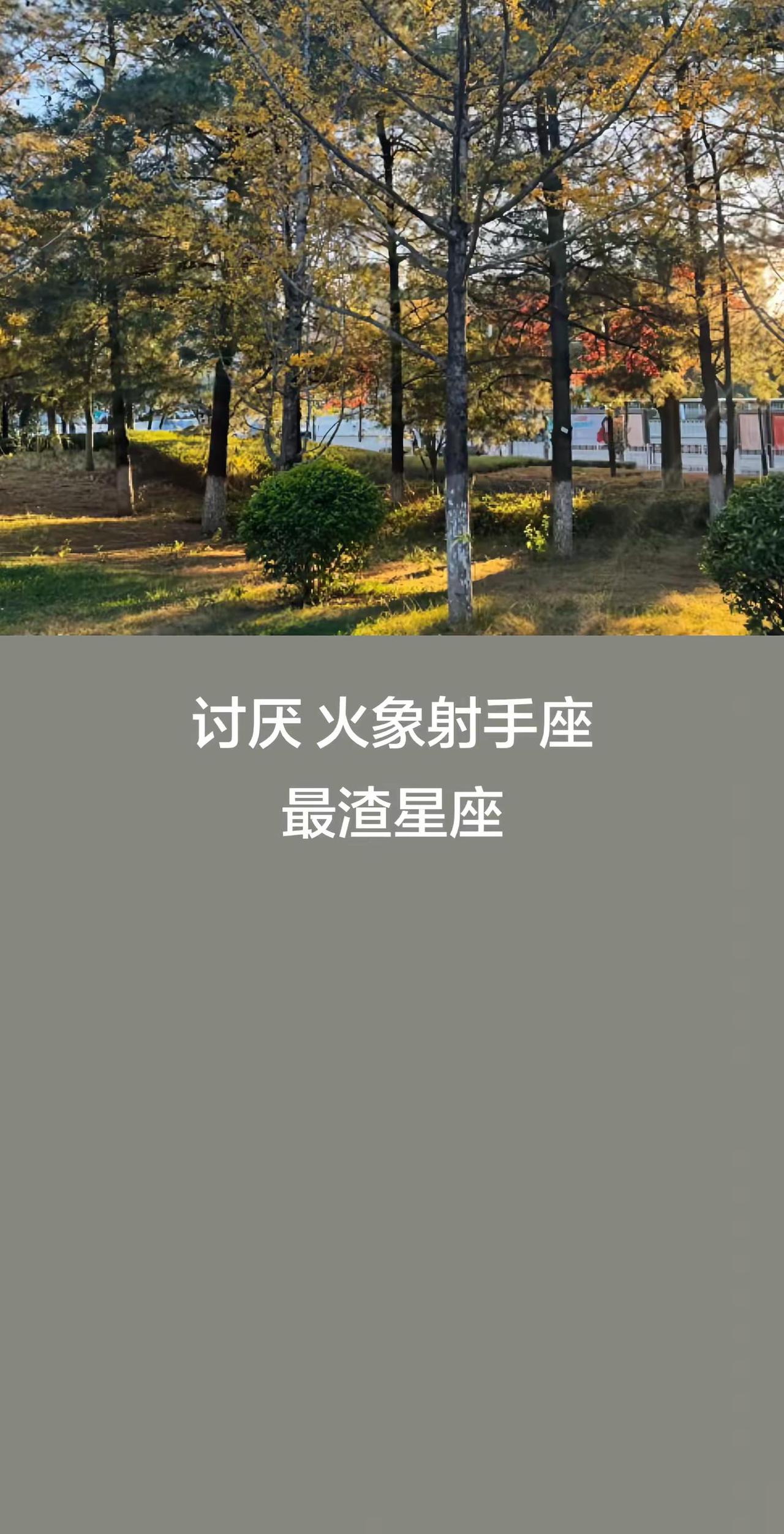 避雷火象射手座