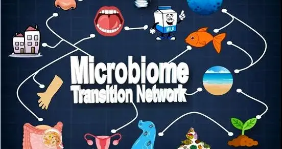 微生物 青岛能源所基于大数据引擎绘制全球微生物组转化网络
