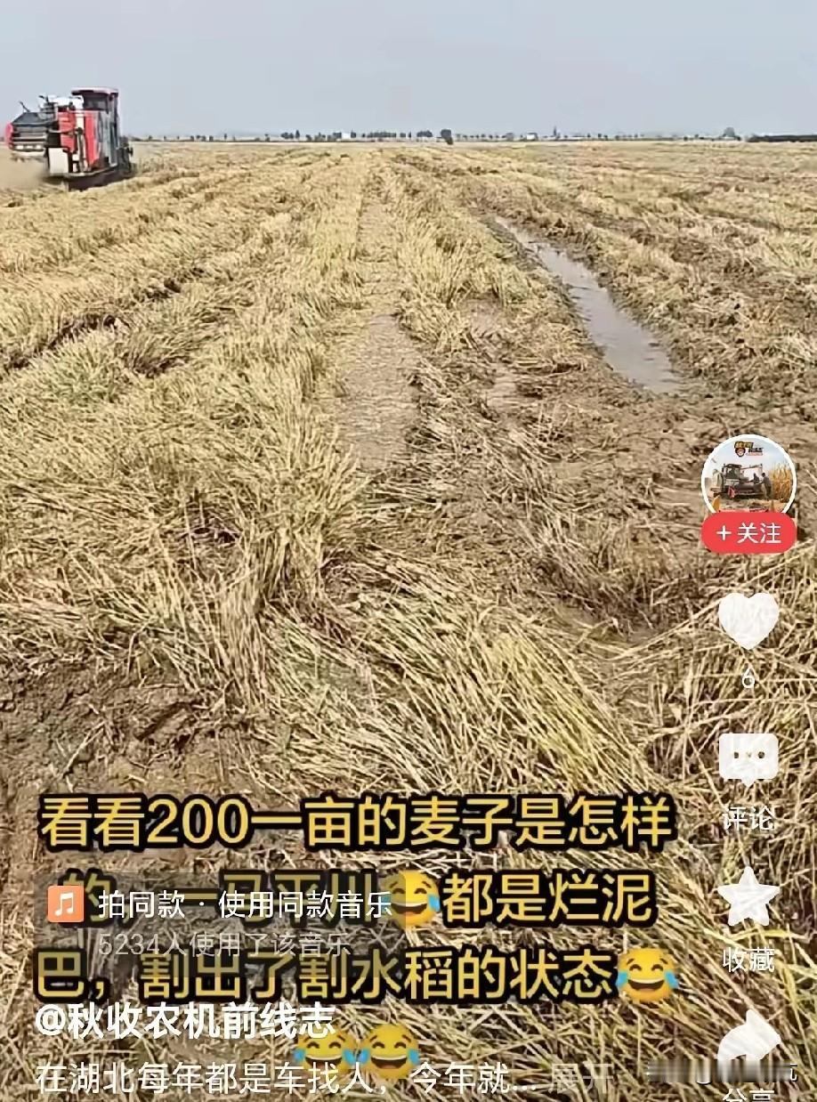 之前答应的200块一亩，但是收割完之后就不认账了，有人说，对于收割机坐地起价的行
