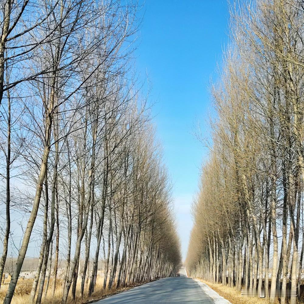 年，马上就来了，一个走亲访友的时节，对于不欢迎的亲戚，再也不去。

我常年不在老