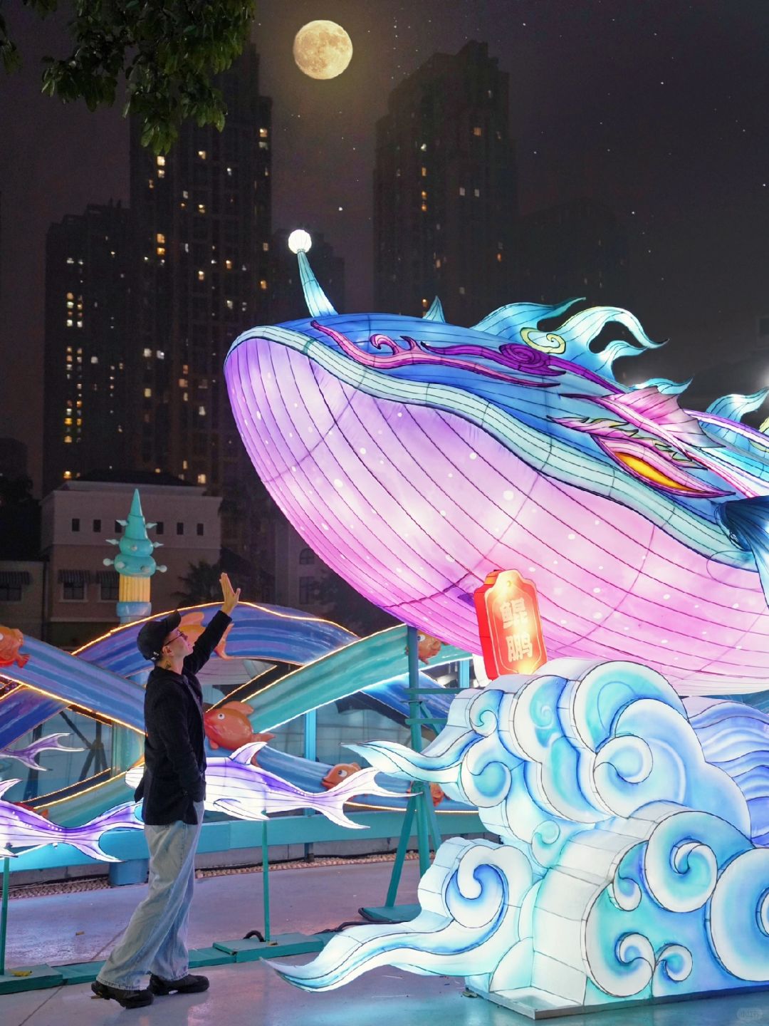 不小心闯入大鱼海棠的梦幻世界🐳巨出片