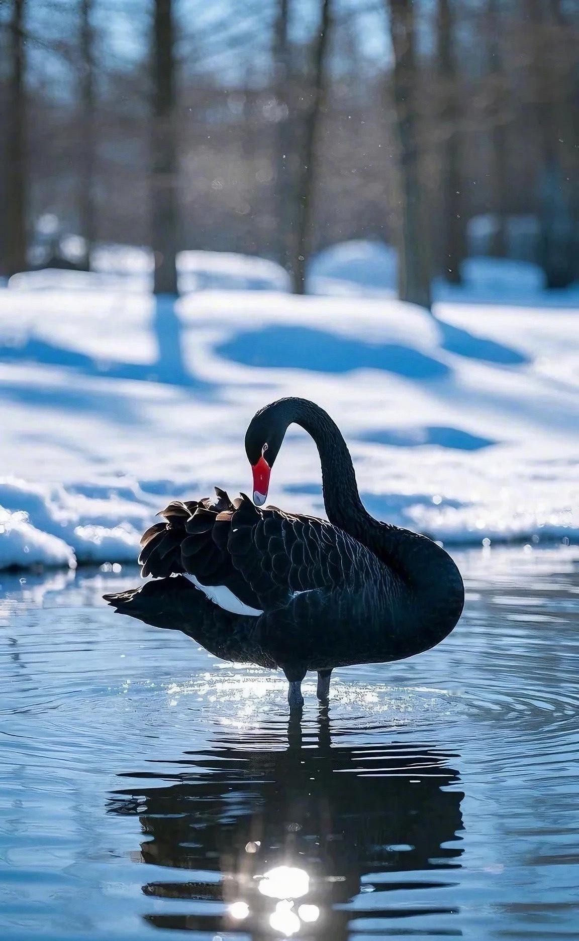 说完了，今天就这样了？没有黑天鹅的话未来是纳指的天下。 