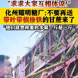 有些渣 人不是学坏的，而是天生就坏！

化州耀明糖厂五一都不休息，加班加点收果蔗