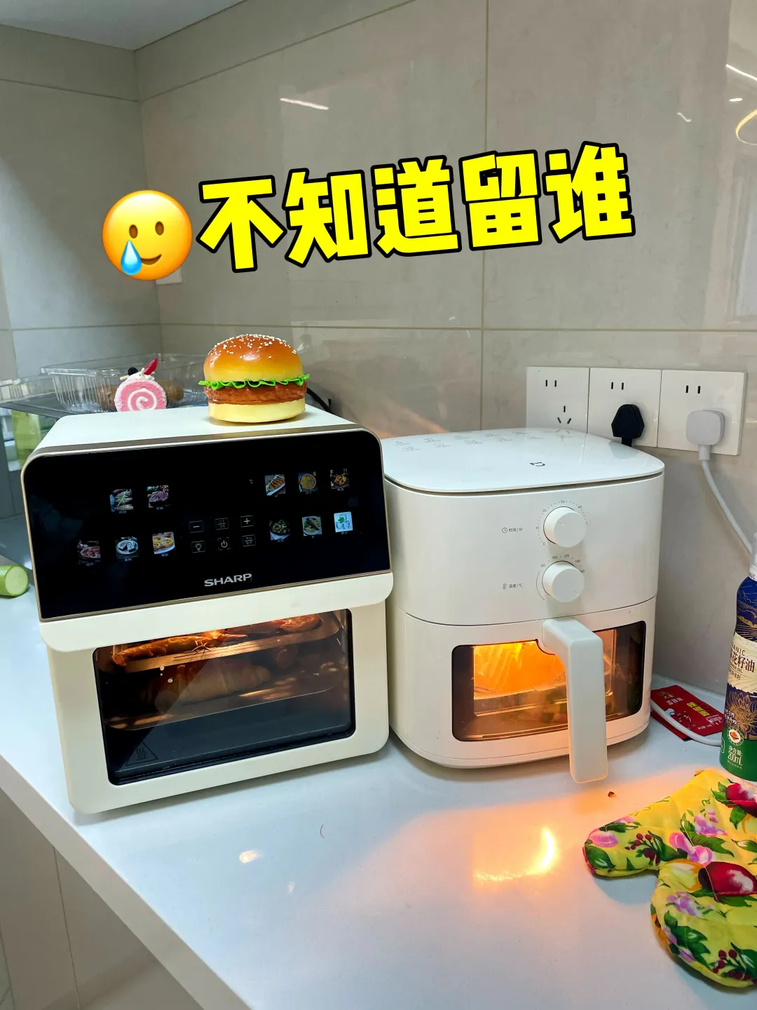 风很大的空气炸锅买了两款，不知道留谁