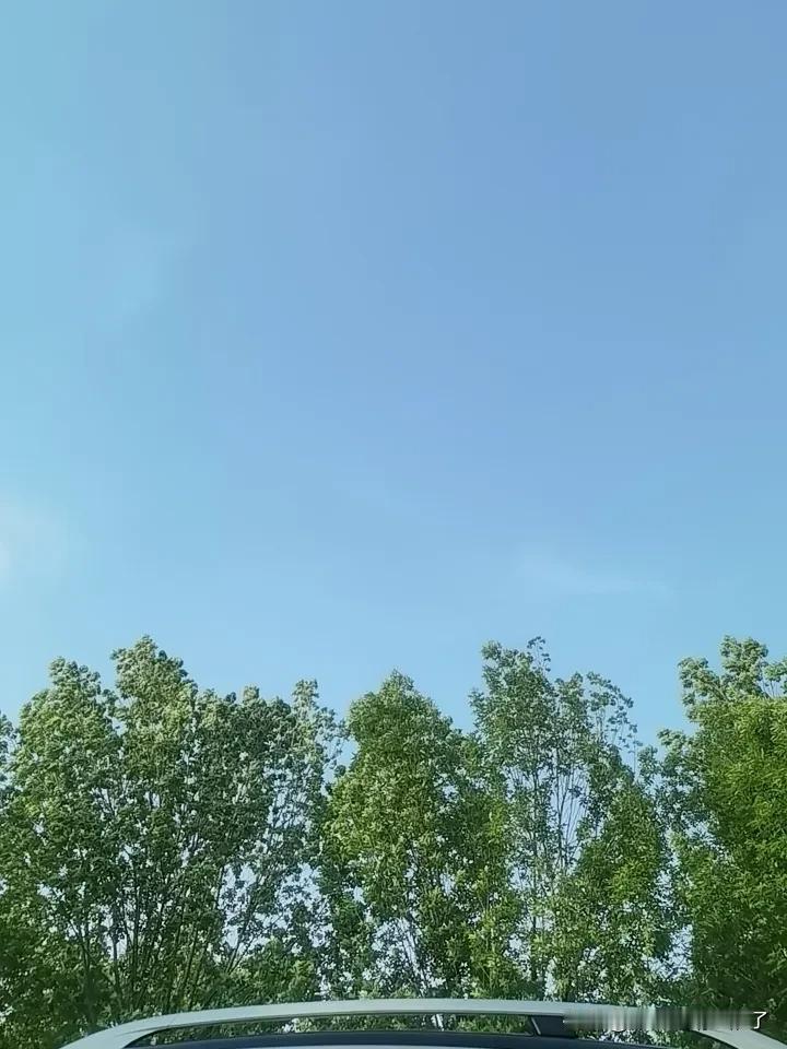 今天的天空真蓝
像小时候一样
今天的风真舒服……
这样的下午真好