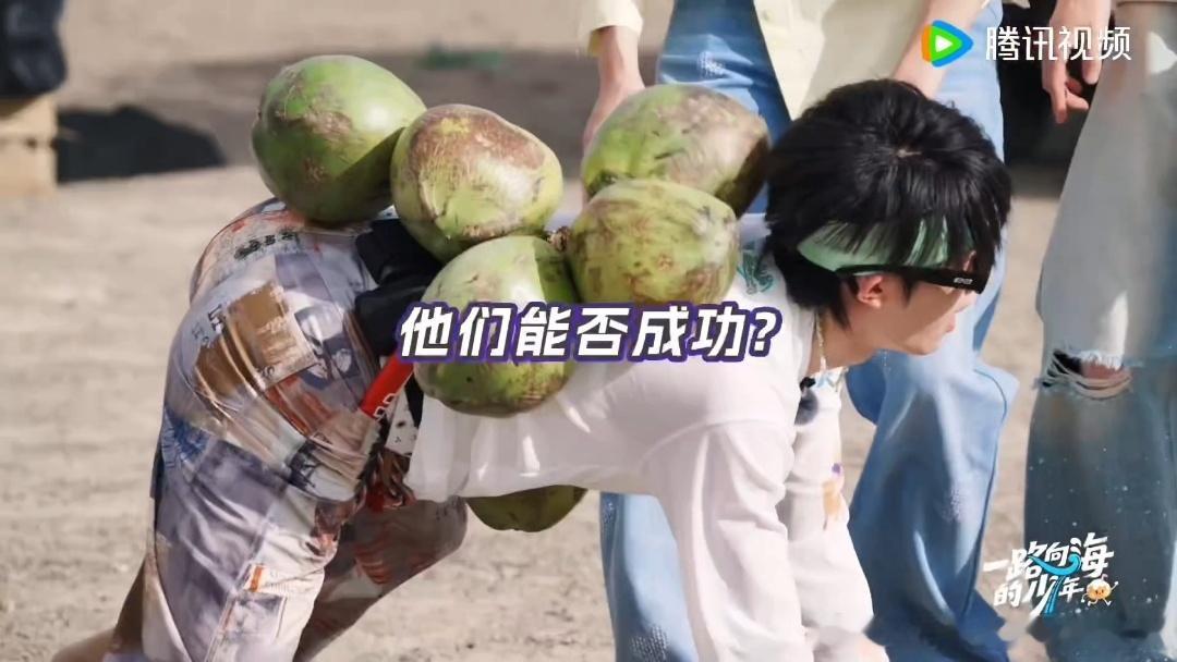 苏新皓腰王发力了苏新皓模仿螃蟹背椰子一路向海的少年 其他成员运椰子各显神通，苏新