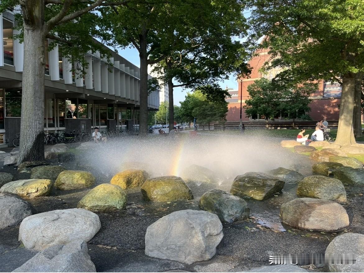 MIT@波士顿 阳光灿烂的回忆