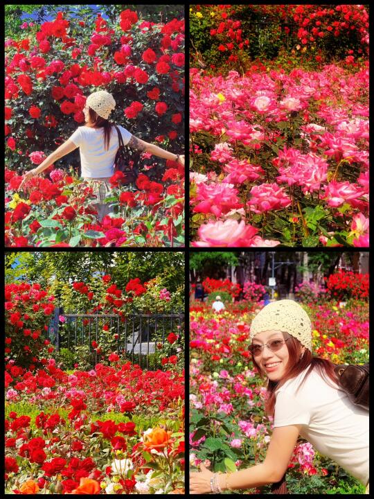 实拍打卡💐藏在北京二环的爱丽丝花园🌟✨💫