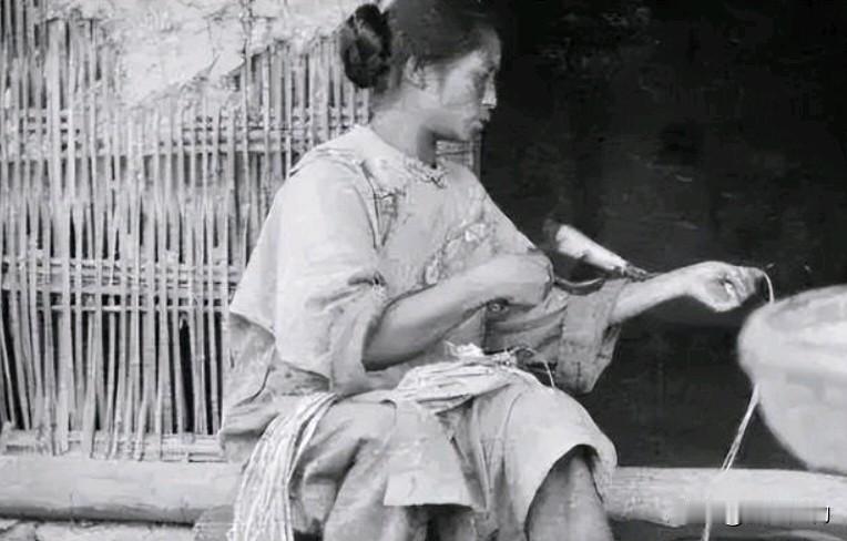 陈秋葵是湖南湘乡市人，是谭政大将的原配夫人，也是陈赓大将的妹妹 。
 陈秋葵出生