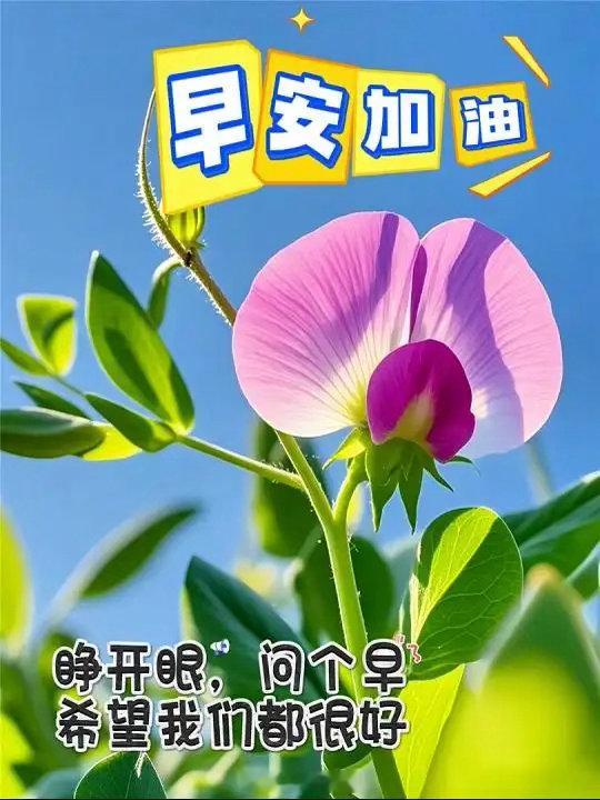 像礁石忍住浪的拍打，我们咽下质疑，等潮水退去，自见嶙峋风骨。各位朋友早安！