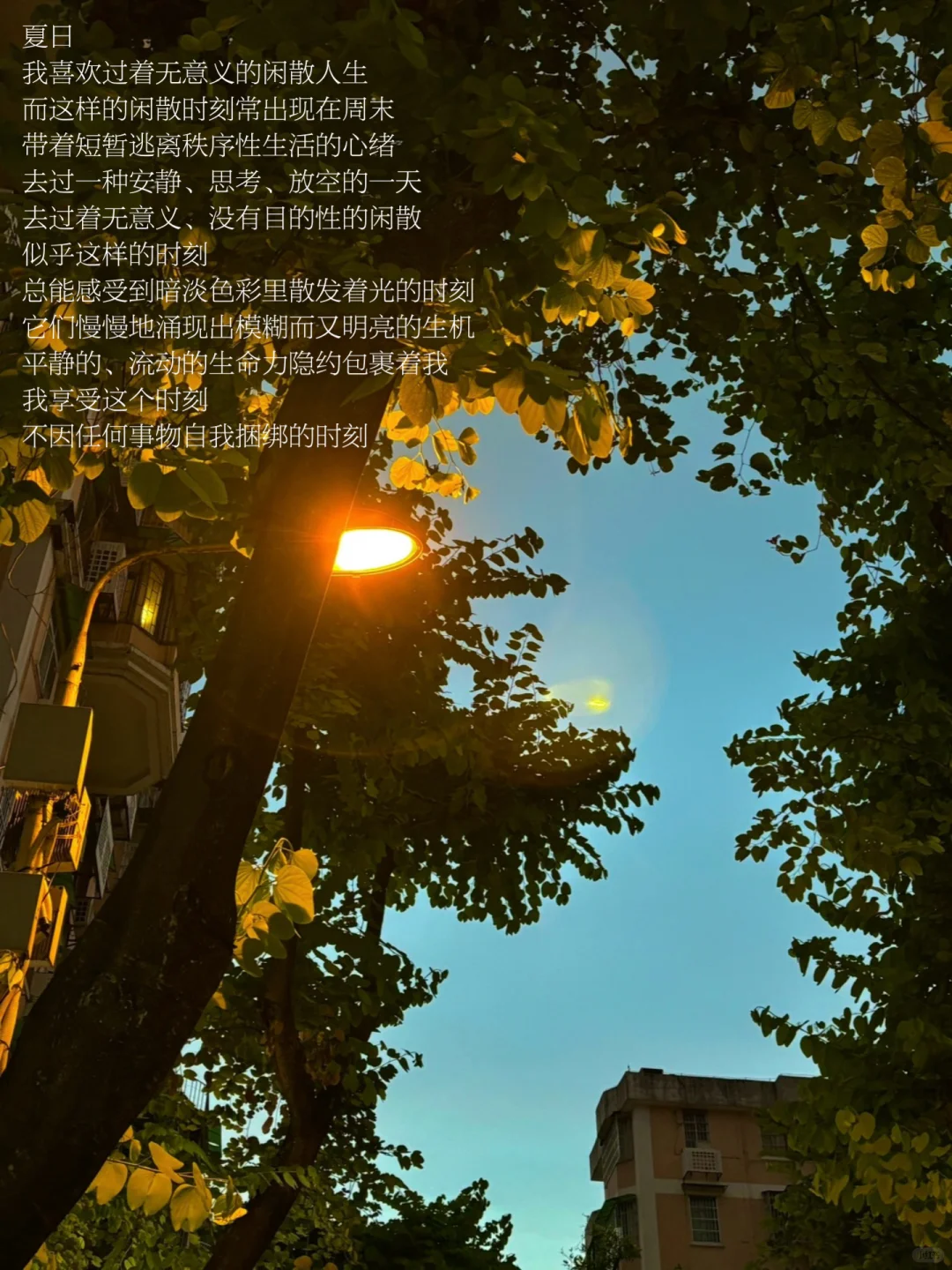 我不再希望生活的肌理是光滑的、细致的表面