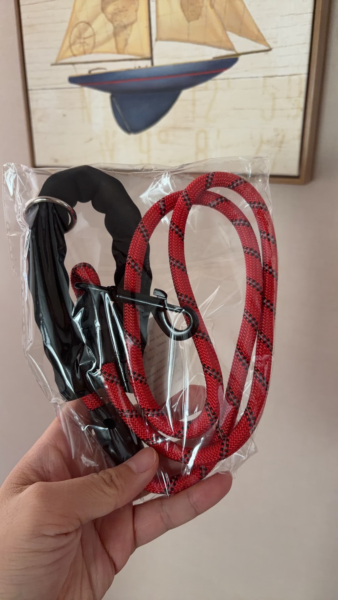 我的狗还没收到，先收到了狗绳