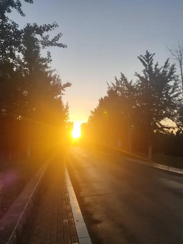 今日感悟还挺多。生活里别太较真，糊涂点反而自在。就像有人在公司熬十几年，老觉得委