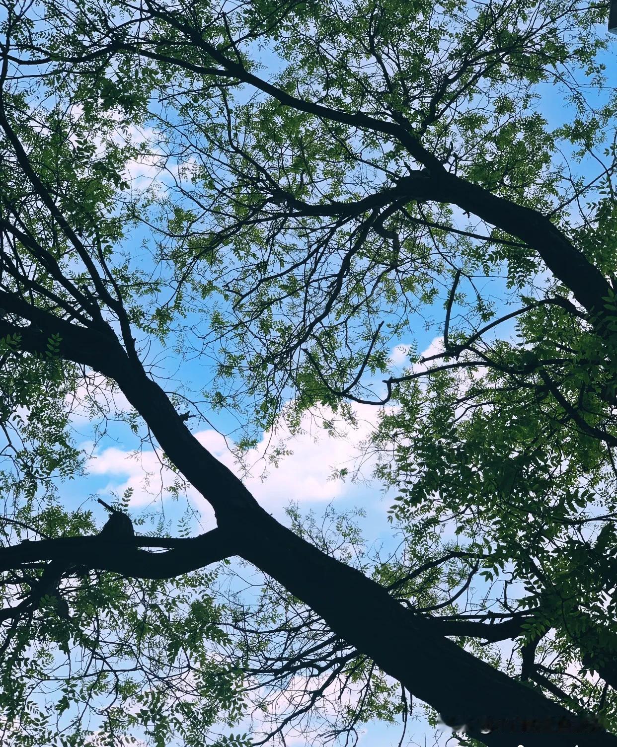 #拍一张春天的美景#