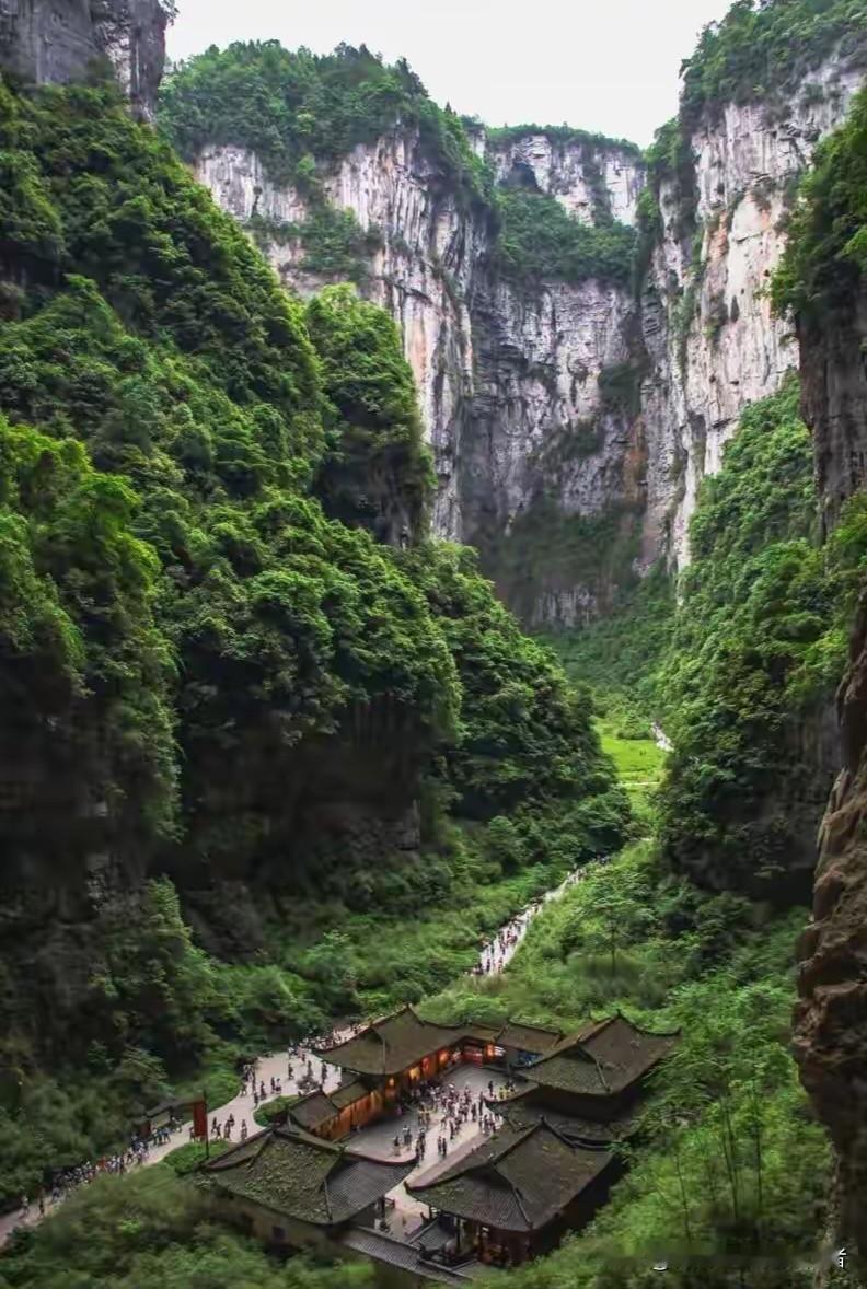 朋友家就是教科书级的“双独家庭”暑假操作——两家老人，各自精彩，互不打扰。

女