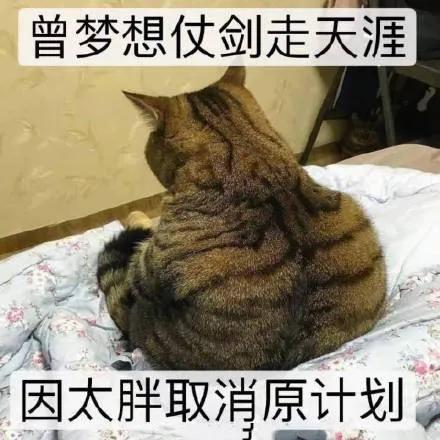 学会自嘲。
当别人看不起你的时候，你可以自嘲一下，缓解尴尬。这也显示出你的大度和