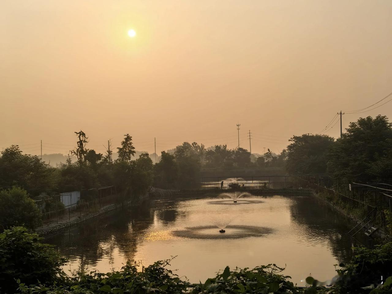 夏日晨。
雾气蒙蒙。
徐州。
一幅美丽的画面在面前呈现。
朝阳高悬在空中，水塘的