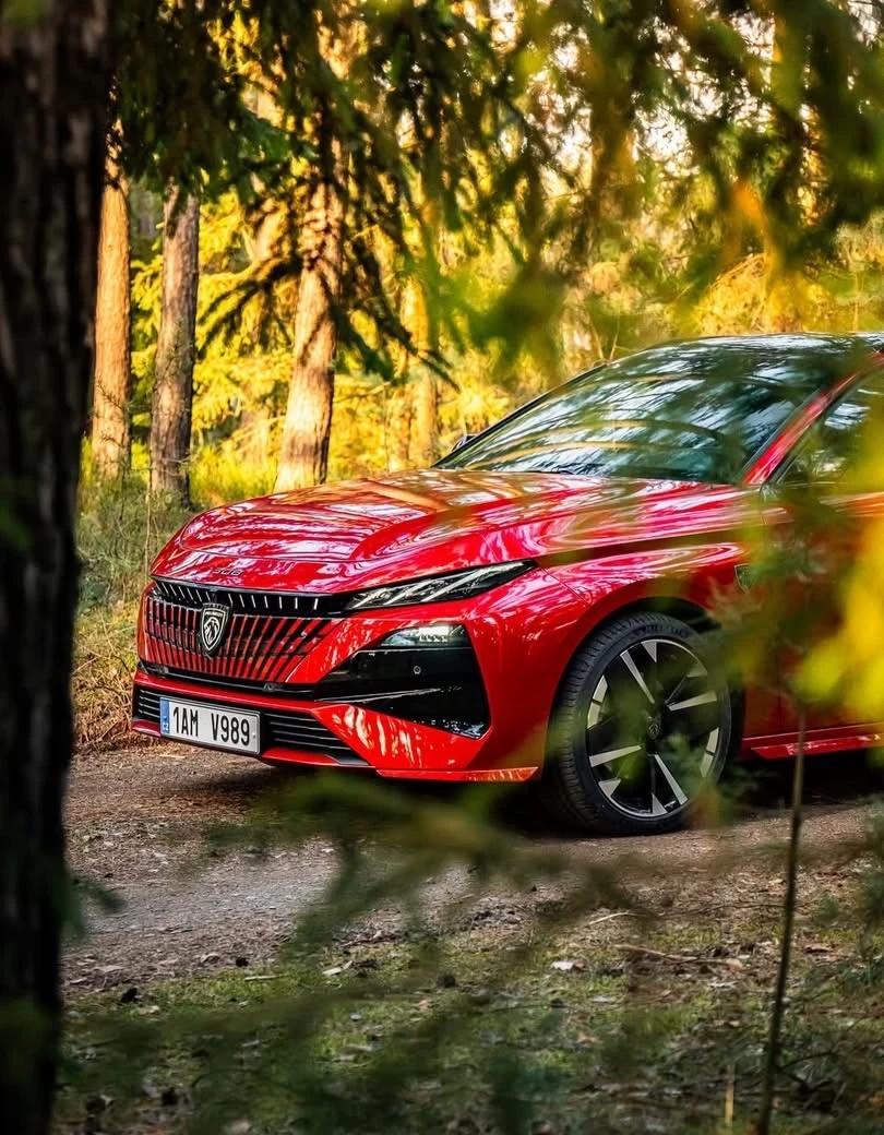 标致 308 SW：锋芒与舒展，恰好在一台车上相遇
	
第一眼看 308 SW，