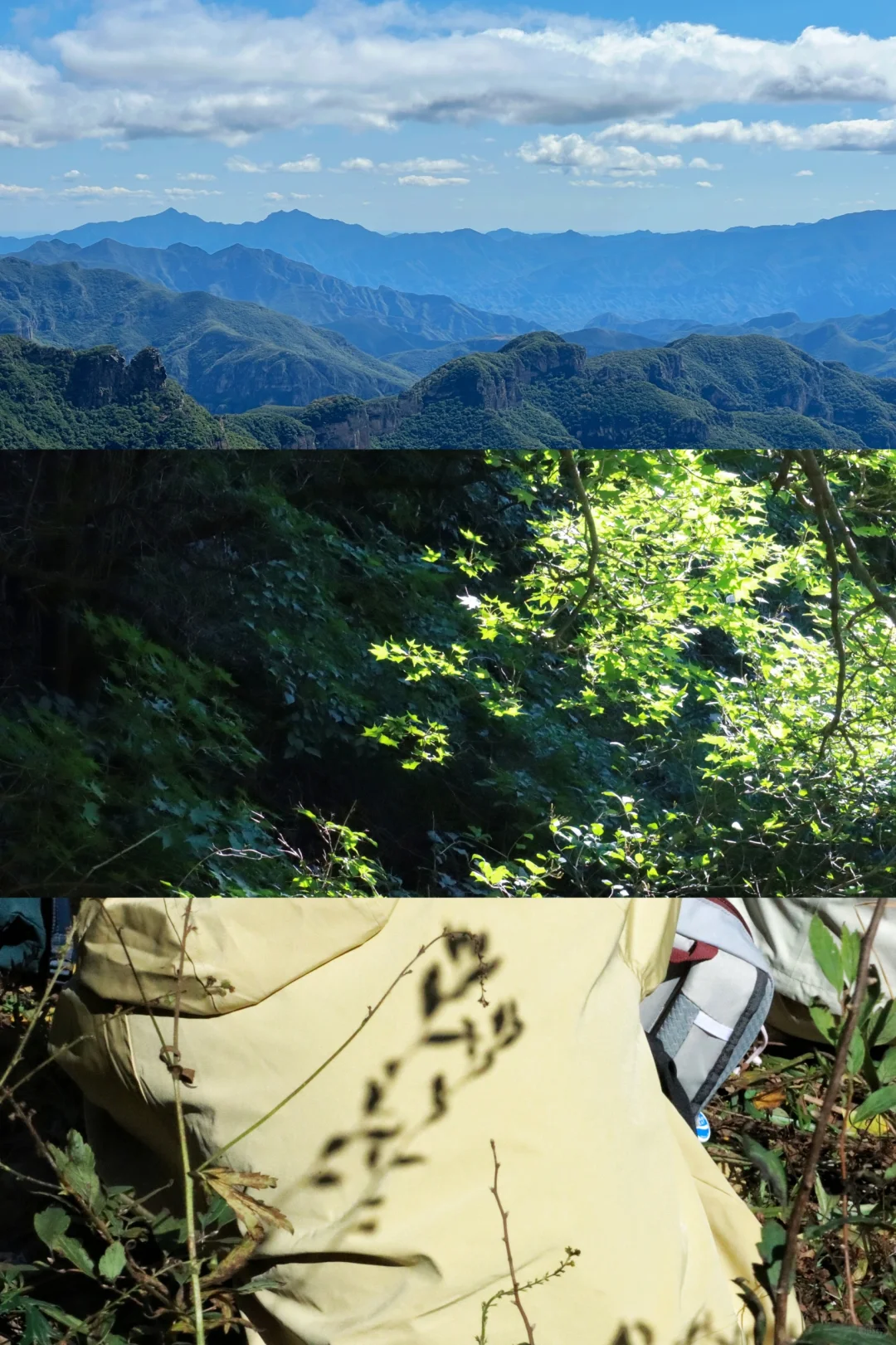 北航大三｜上学不如上山🙂‍↔️