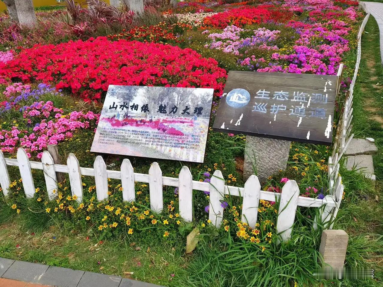 媒体：努力让春假成为全家福 今春4月多地推广中小学春秋假，不少学生迎来5 - 6