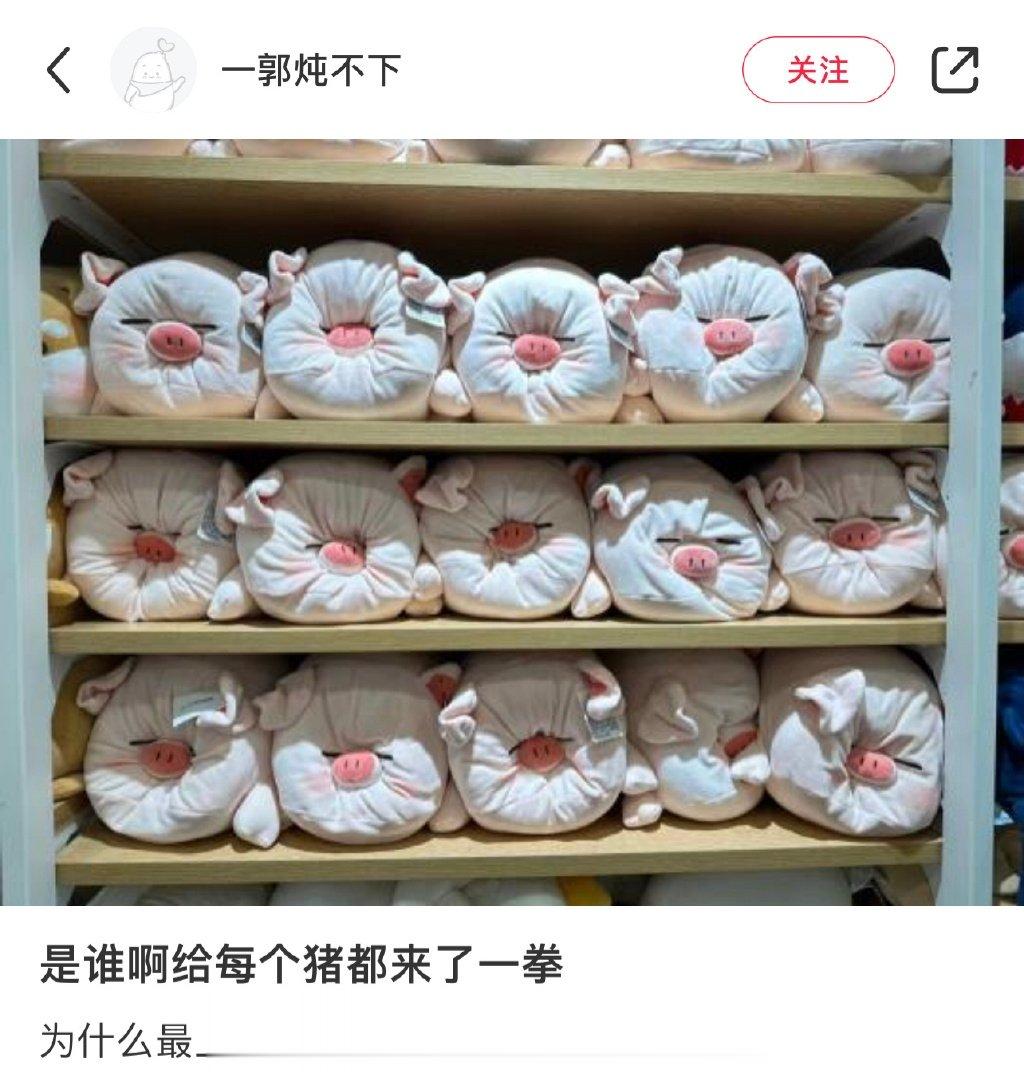 是谁给每个猪都来了一拳 ​​​