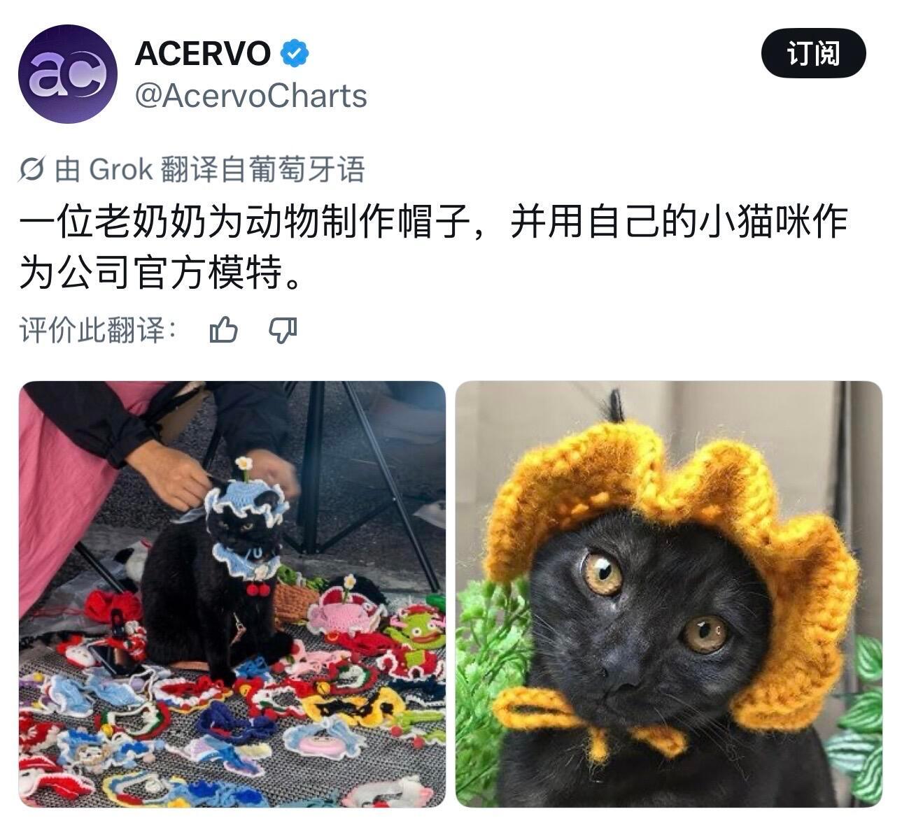 世间细碎的温柔，全都留给毛茸茸。