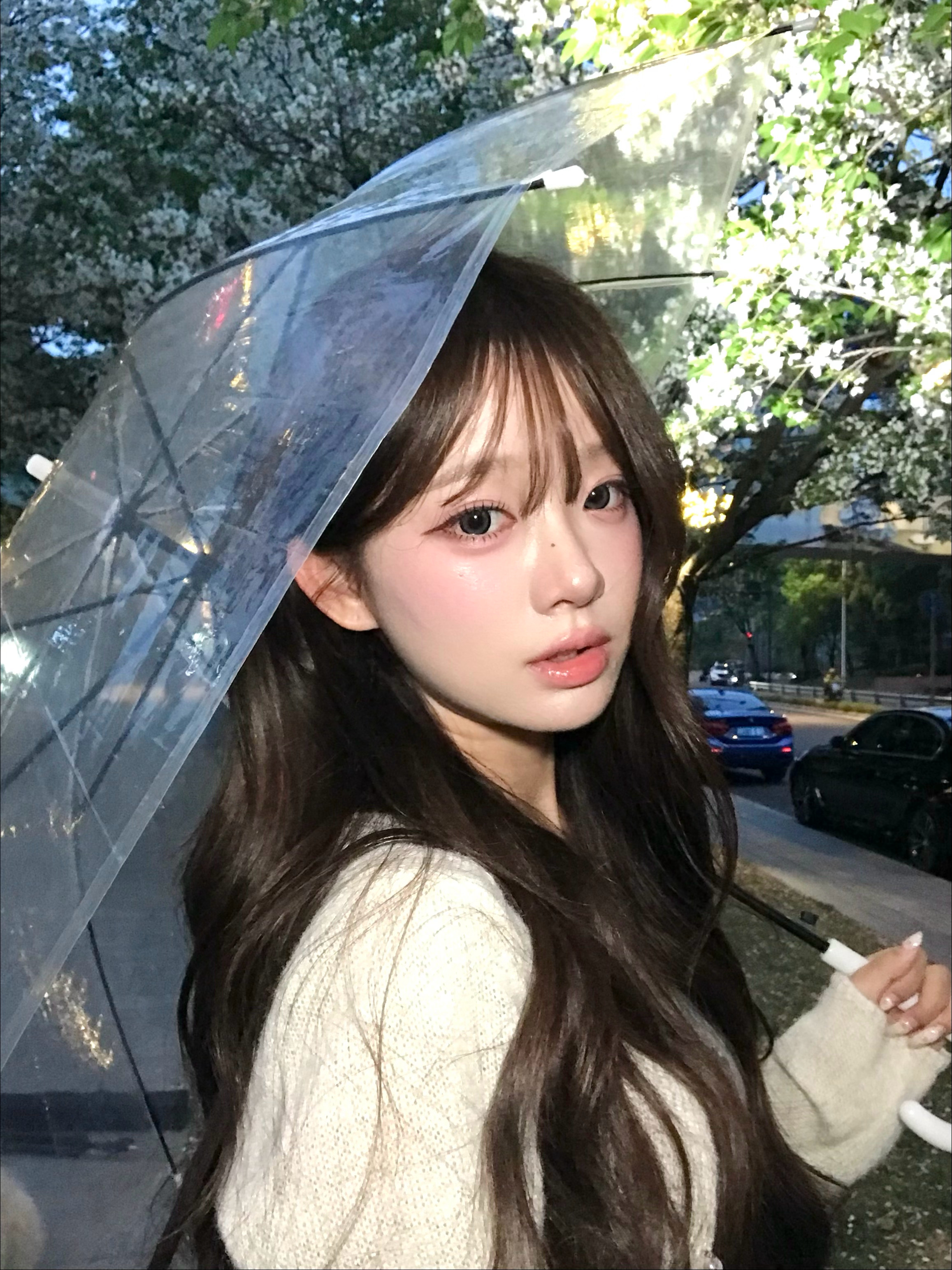 昨天看到的樱花🌸给你们看 