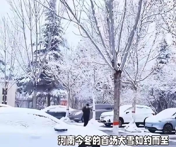 河南竟然下雪了！刚从连阴雨里喘口气没几天，中原大地就披上了银装。要知道这可是十月
