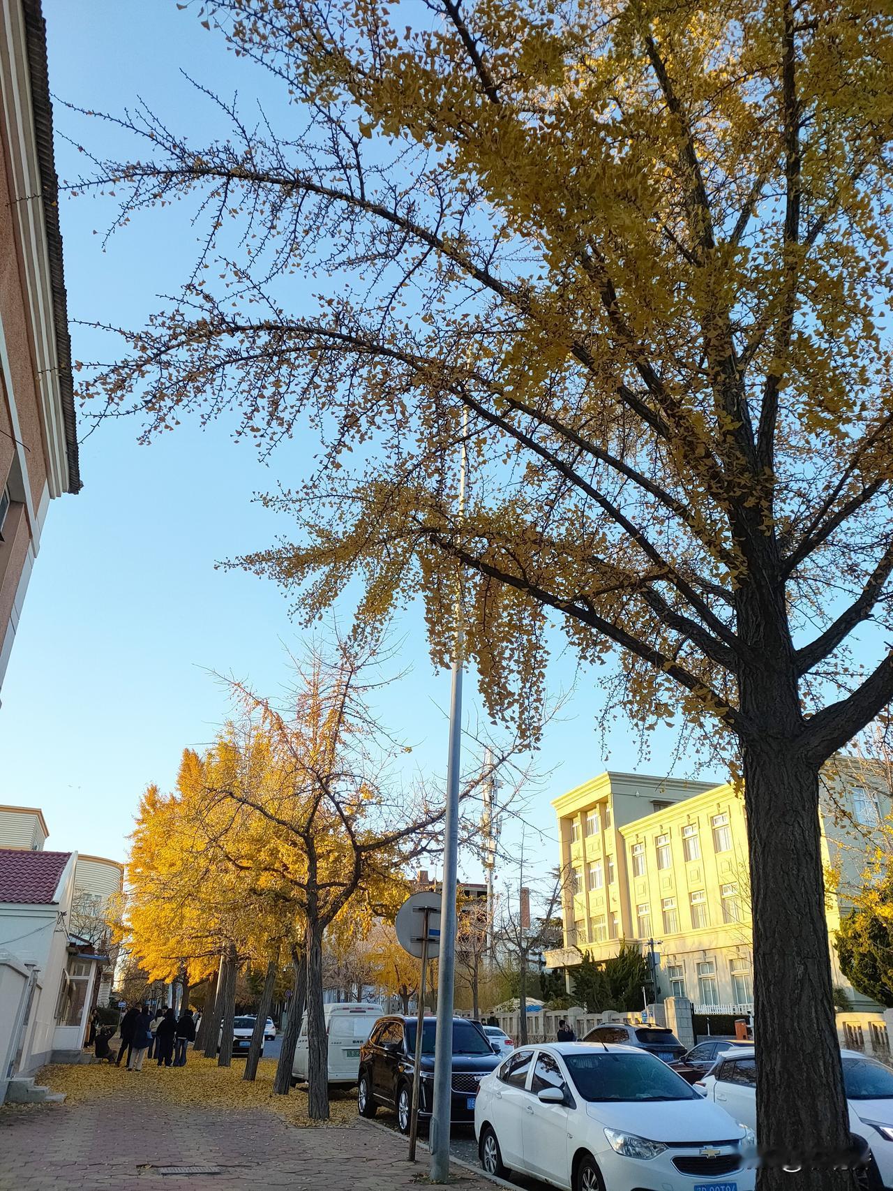 你怎么看期待，很期待，满心期待，满心的期待，满心欢喜的期待[捂脸]