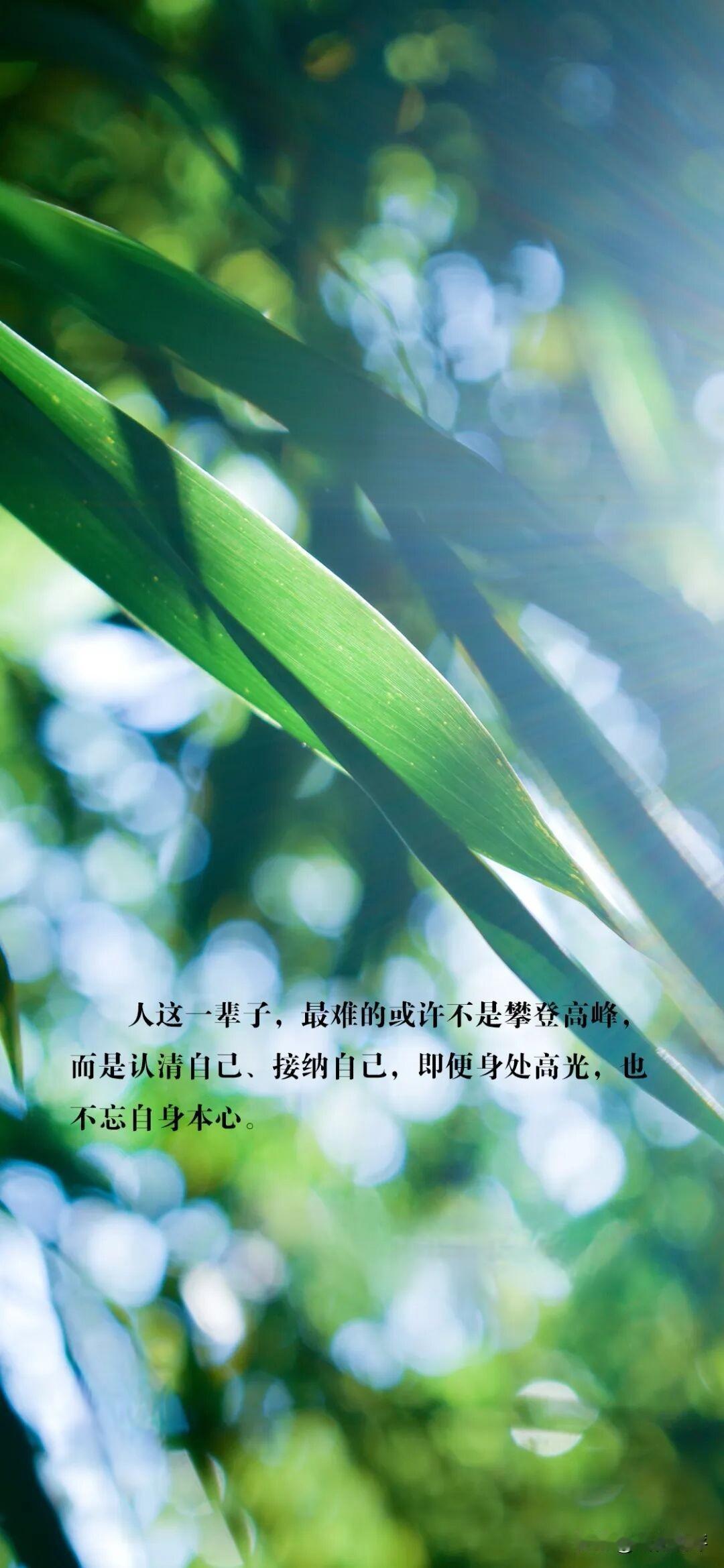 早安！为人即使身处高光，鲜花与掌声环绕，更不能忘了自身本心。
功成名就的人，若被