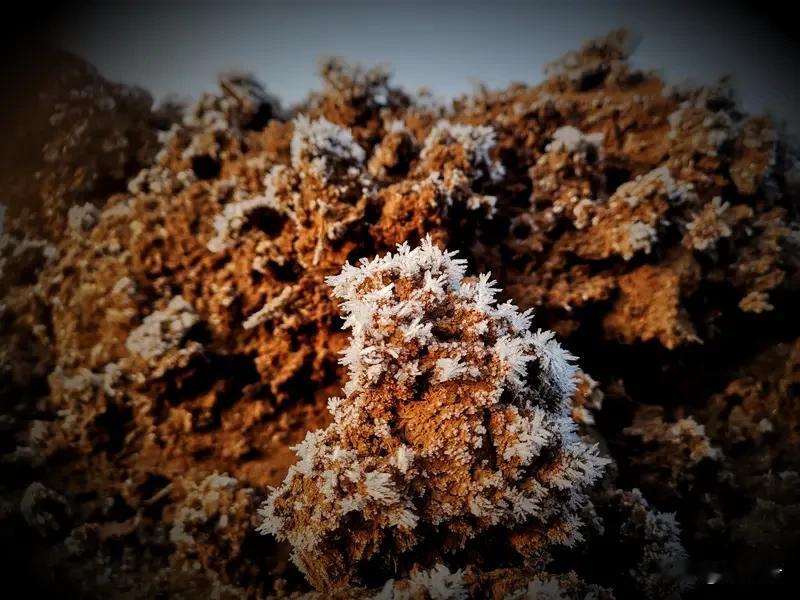耕酬所愿·力取繁花
 
心慕纤腰轻健，却懒踏沙原、避却朝夕驰练；心念榜上清名，仍