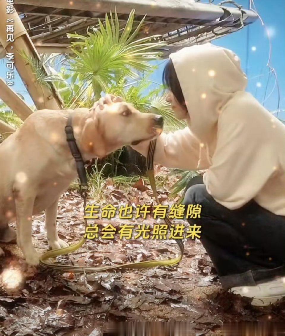 #再见李可乐 小狗缝缝补补#狗狗虽然不会说话，但是是绝对的贴心，看到你不快乐，它