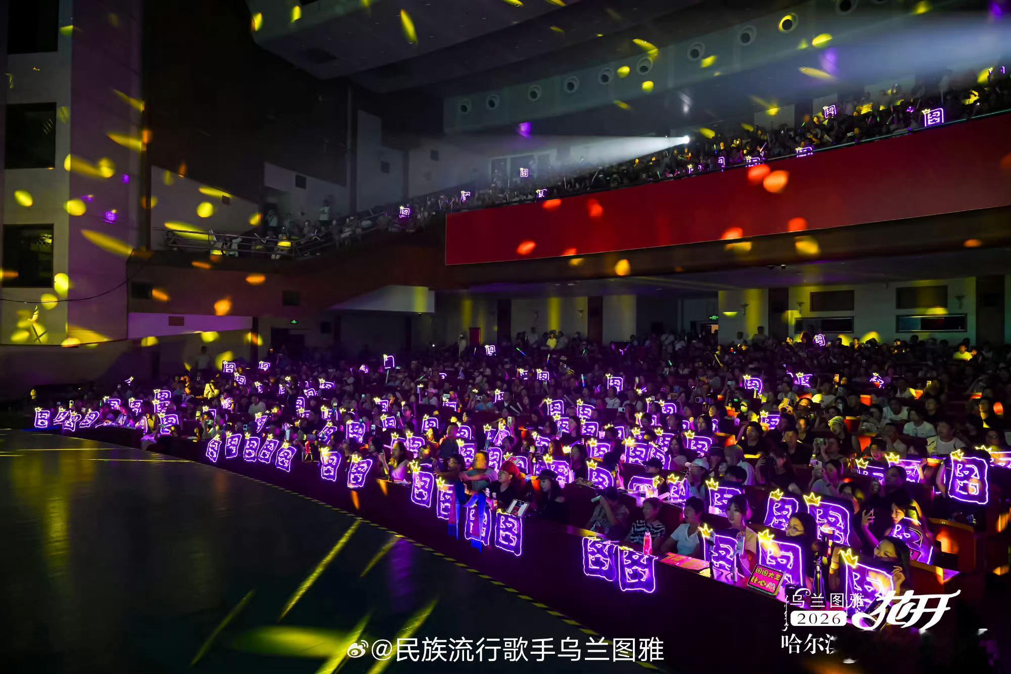 乌兰图雅演唱会应援浪漫紫海浪姐小图雅在哈尔滨真开大了 放大现场照全是雅丝，紫色"