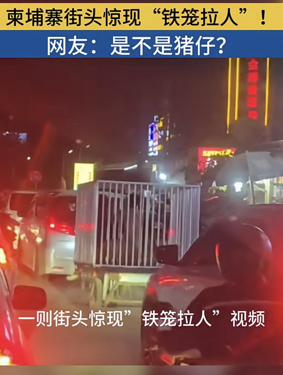 网友：是不是猪仔？