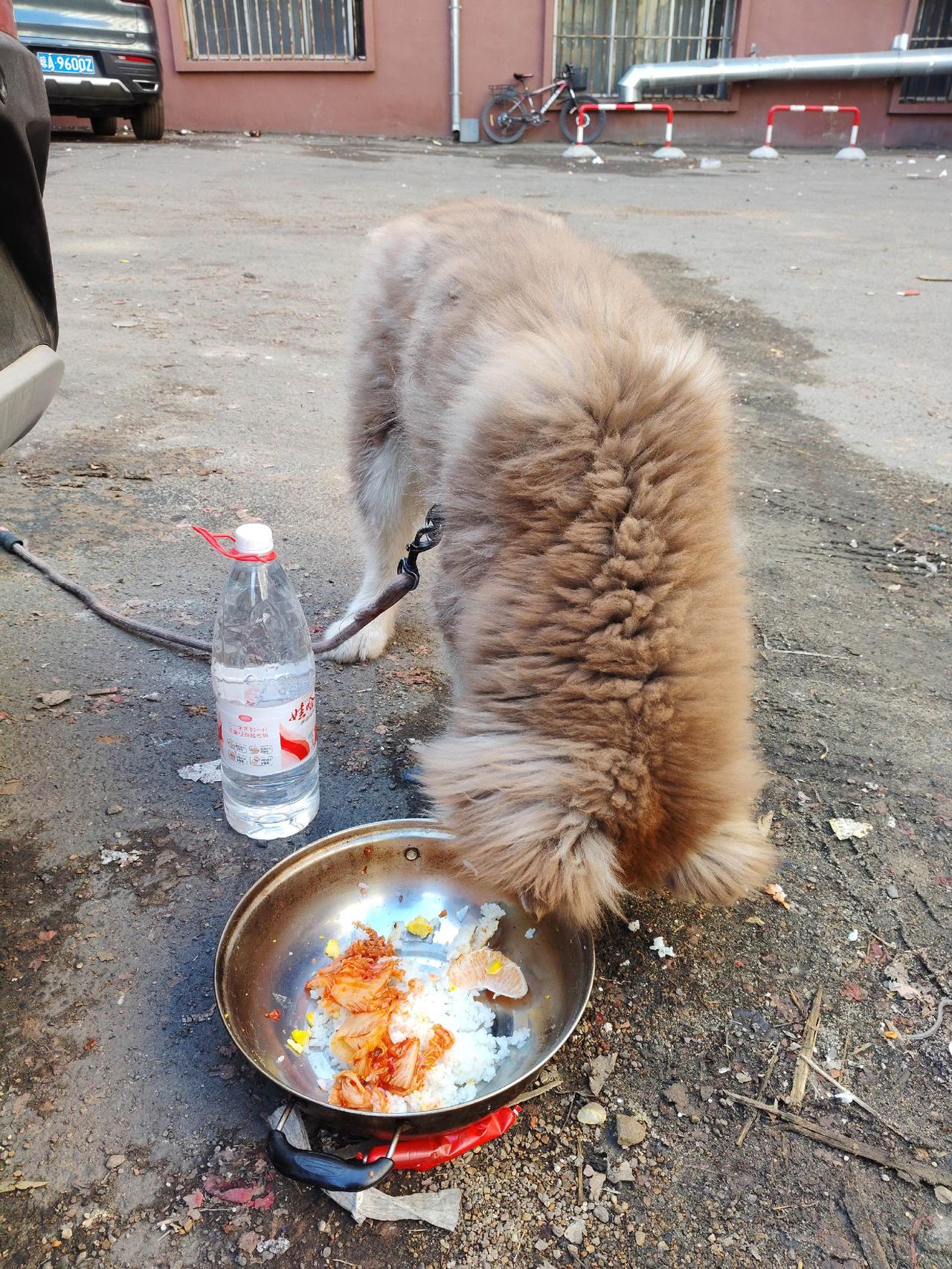 今日阿拉斯加青云吃韩餐