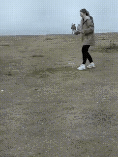 大家看看，你们有胆量挑战吗？