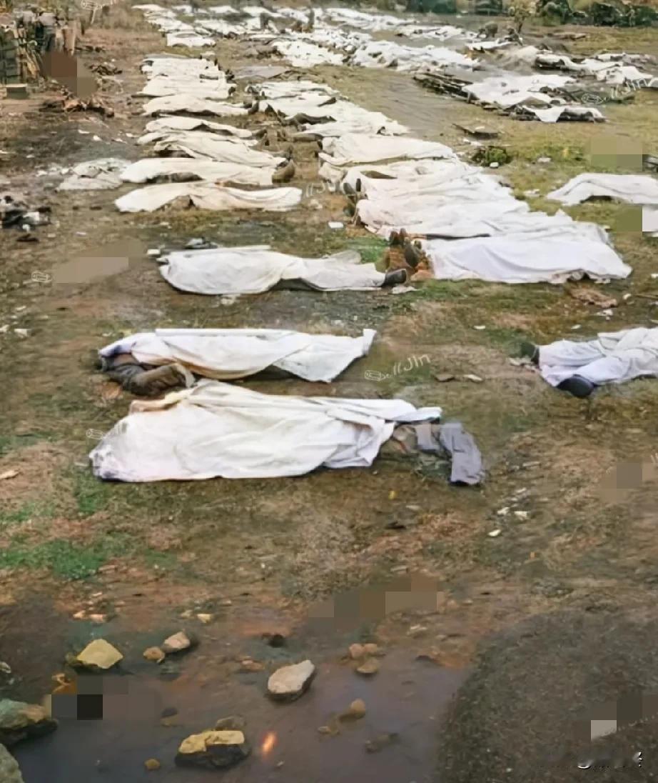 对越自卫还击战期间，战地烈士火化组送来了众多烈士遗体，多得火化间都停放不下。于是
